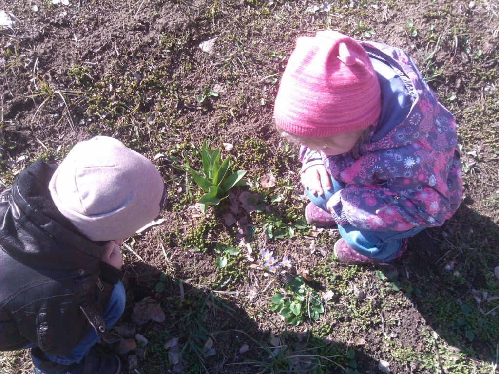 IMG-20190321-WA0011.jpg