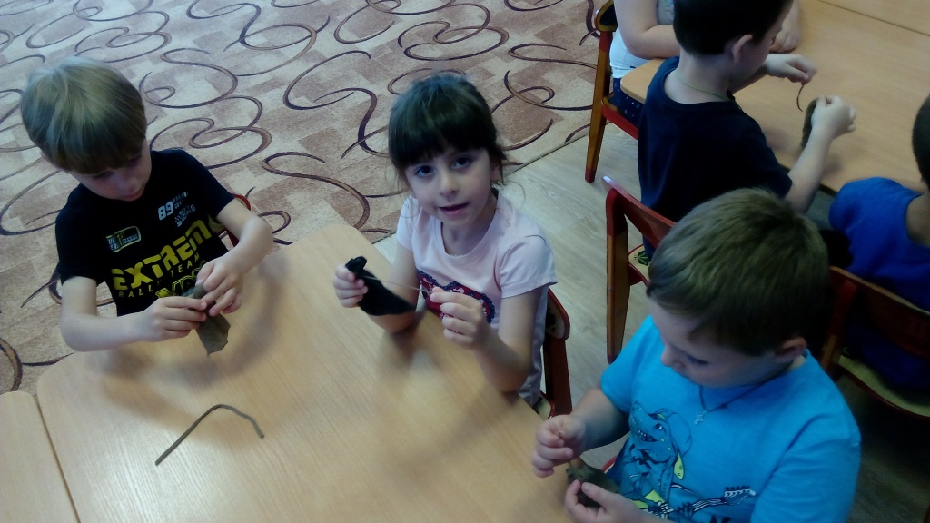 IMG_20190527_095011.jpg