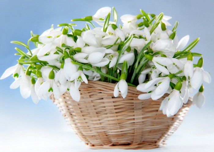snowdrops-spring-decor-ideas9-3.jpg