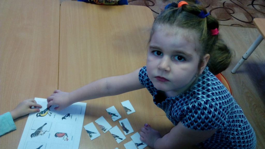 IMG_20190114_095400.jpg