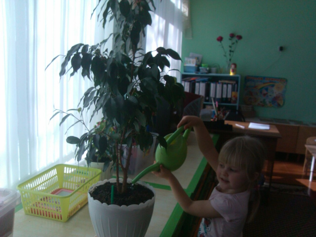 IMG-20190321-WA0007.jpg